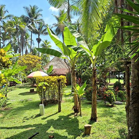 Rancho Burica Hotel Pavones  Buitenkant foto