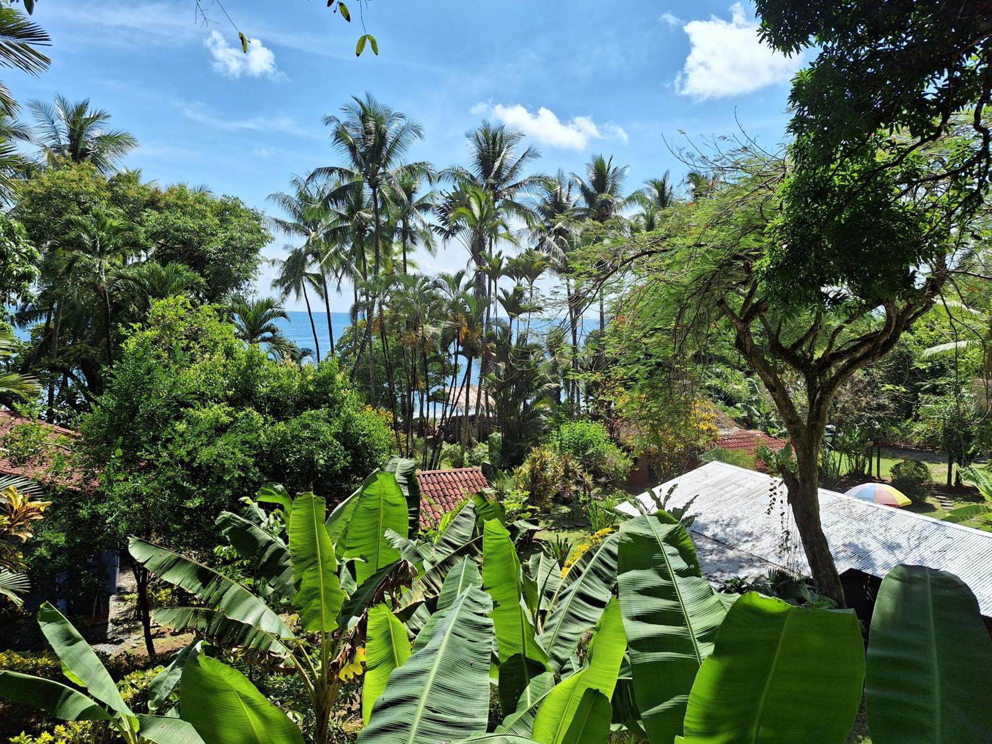 Rancho Burica Hotel Pavones  Buitenkant foto